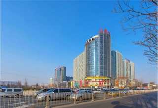 山东木材断料锯厂家